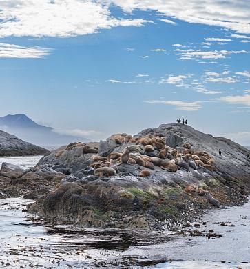 Ushuaia