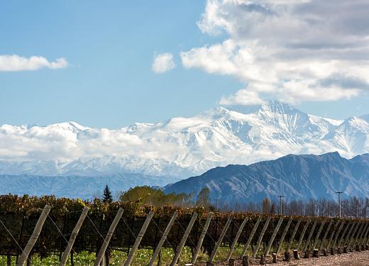 Discover the soul of Argentine wine